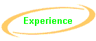 Experience